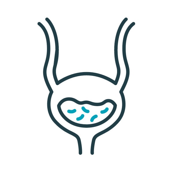 UTI Awareness Bladder Graphic 