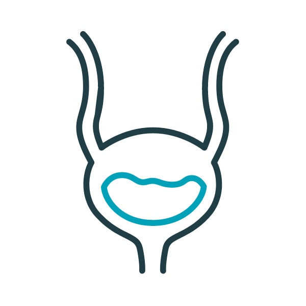 UTI Awareness Bladder Graphic 
