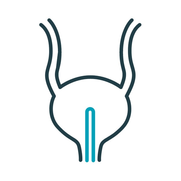 UTI Awareness Bladder Graphic 