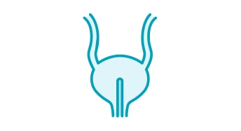 Bladder emptying 